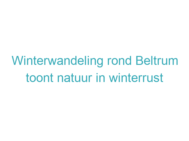 Winterwandeling rond Beltrum toont natuur in winterrust