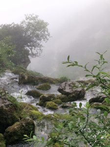FotoKabinet jan 2026_STIL_Laura de Morree_02