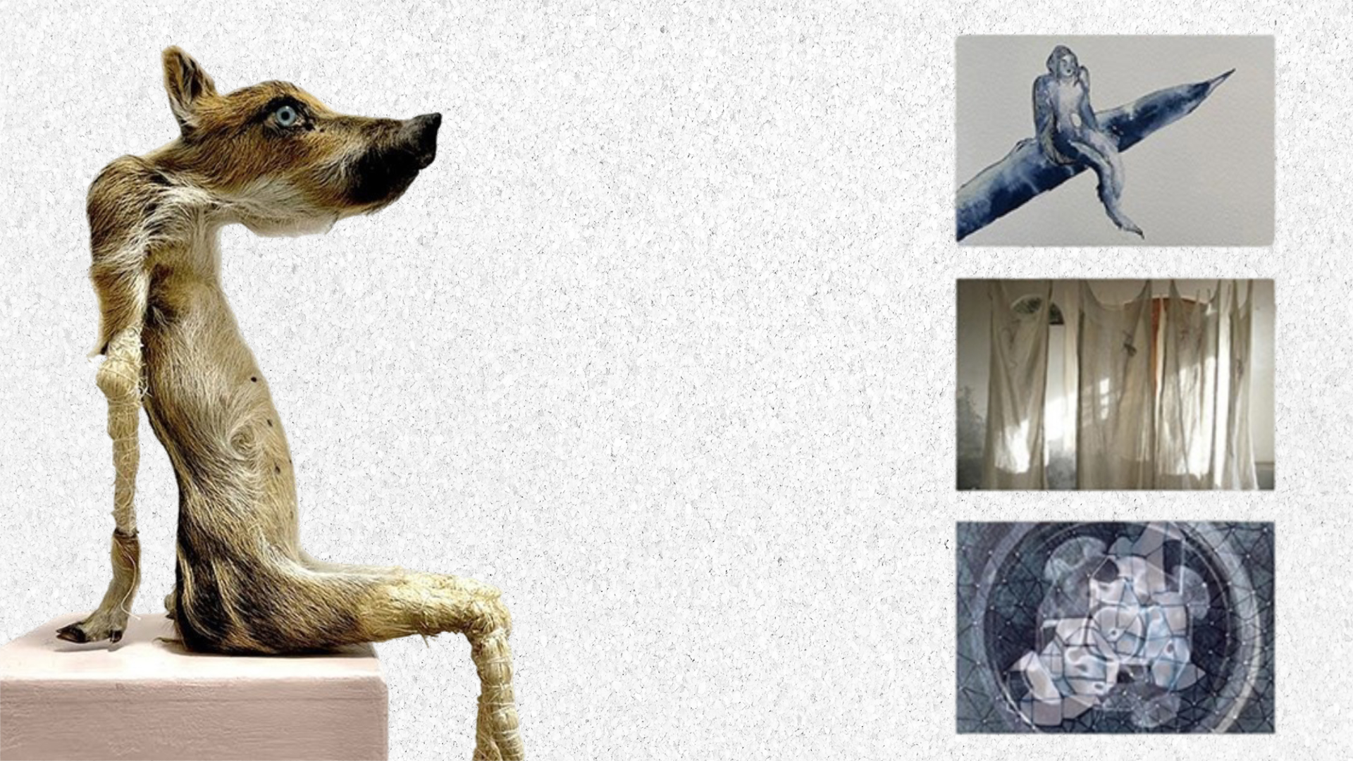 Expositie ‘Tot stof zult gij wederkeren’ in de Koppelkerk in Bredevoort