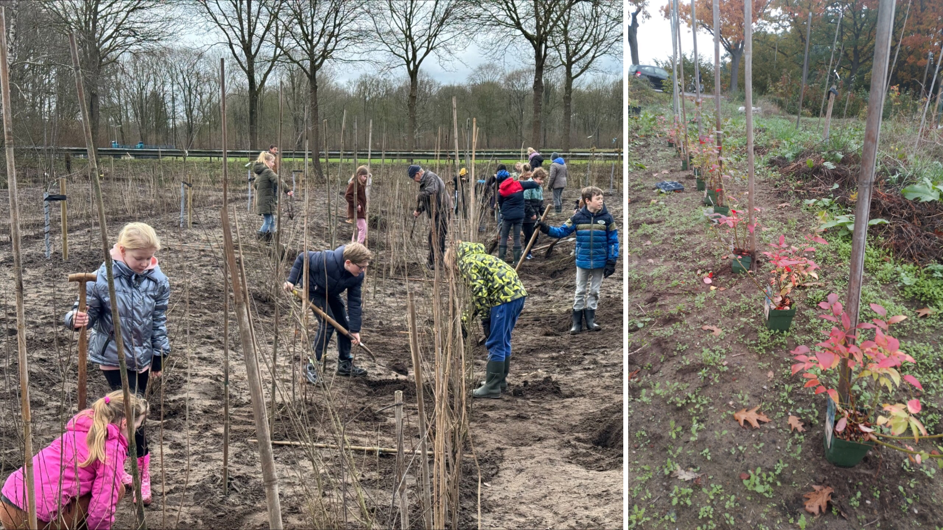 Voorlichtingsavond over Voedselbos Bredevoort in de Koppelkerk
