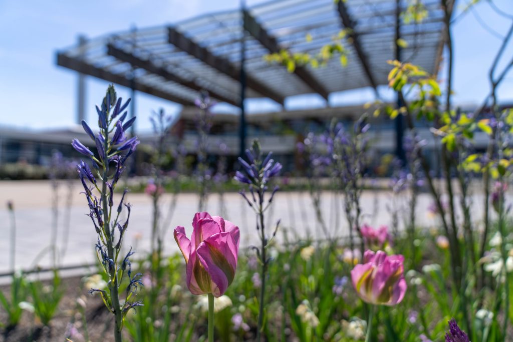 Streekziekenhuis Koningin Beatrix