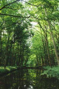 artikel_5639_afbeelding