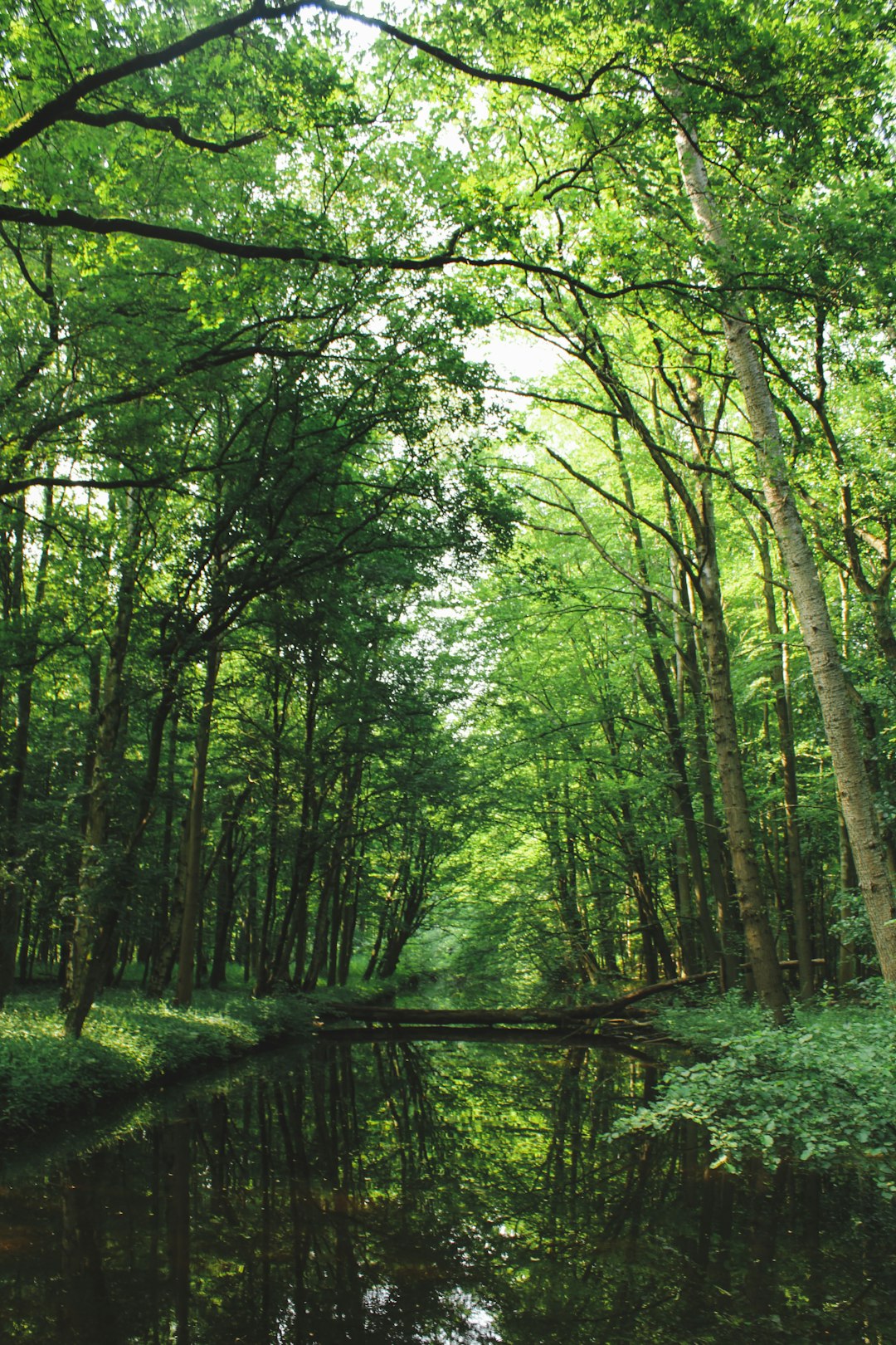 artikel_5639_afbeelding