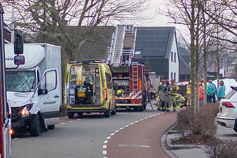 WhatsApp Image 2026-02-05 at 17.37.31