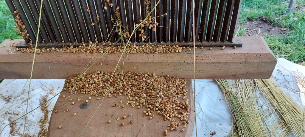 20230730 StVtV repelen