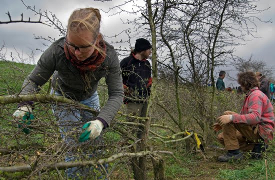 Immaterieel erfgoed in de schijnwerpers: voorselectie UNESCO-lijst bekend