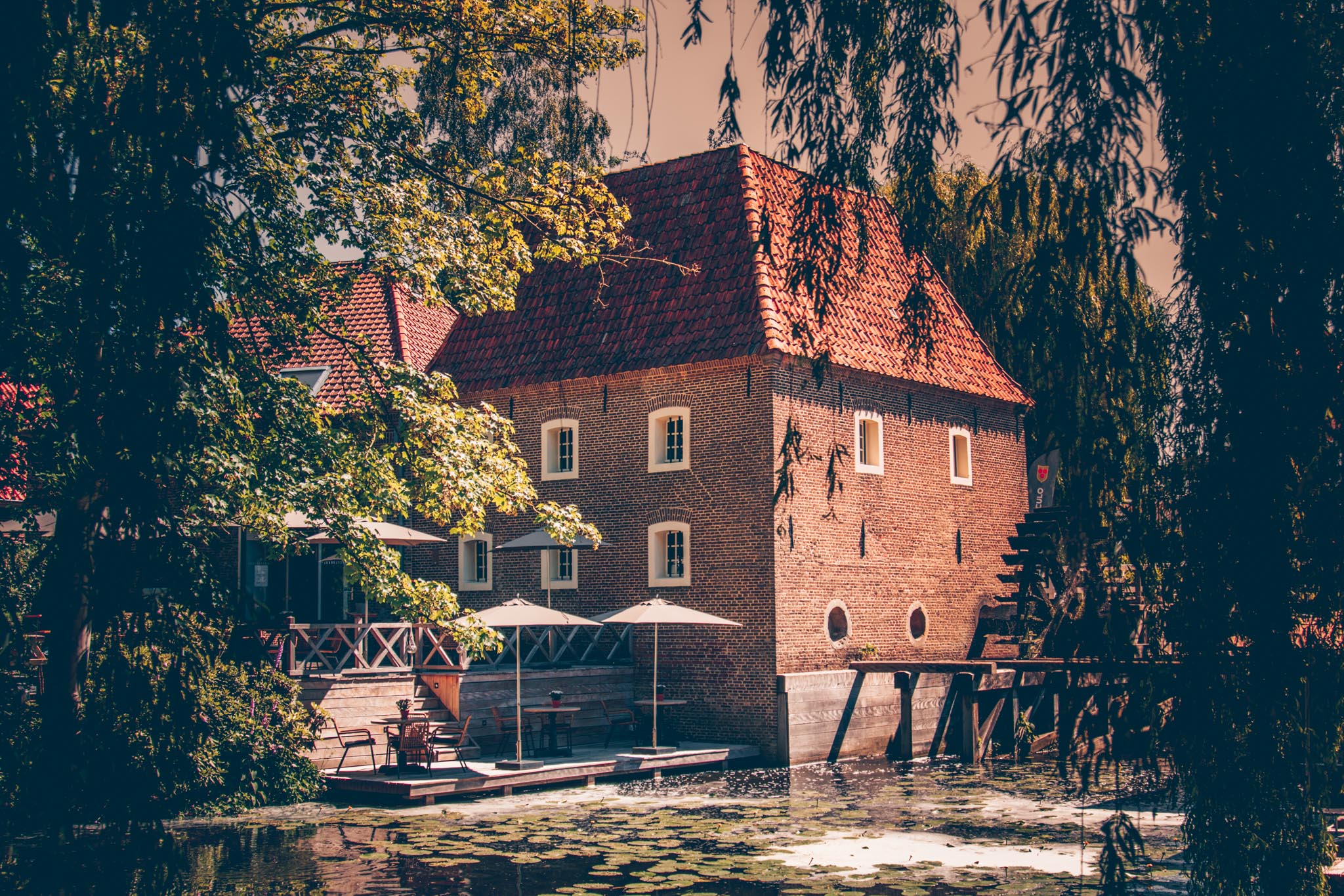 ProefRit foto persbericht