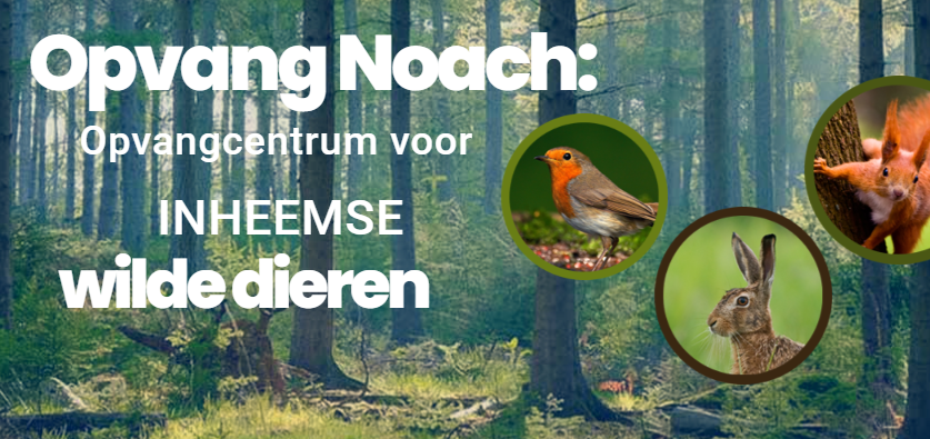 Schermafbeelding 2026-03-24 065131