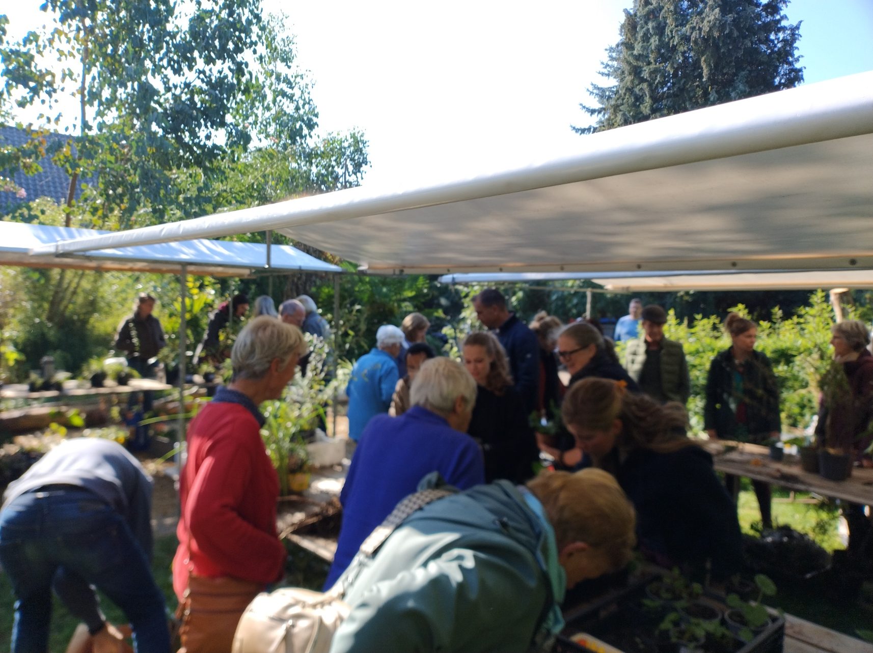 HUMMELO — Planten ruilen tijdens beurs in Hummelo en Keppel