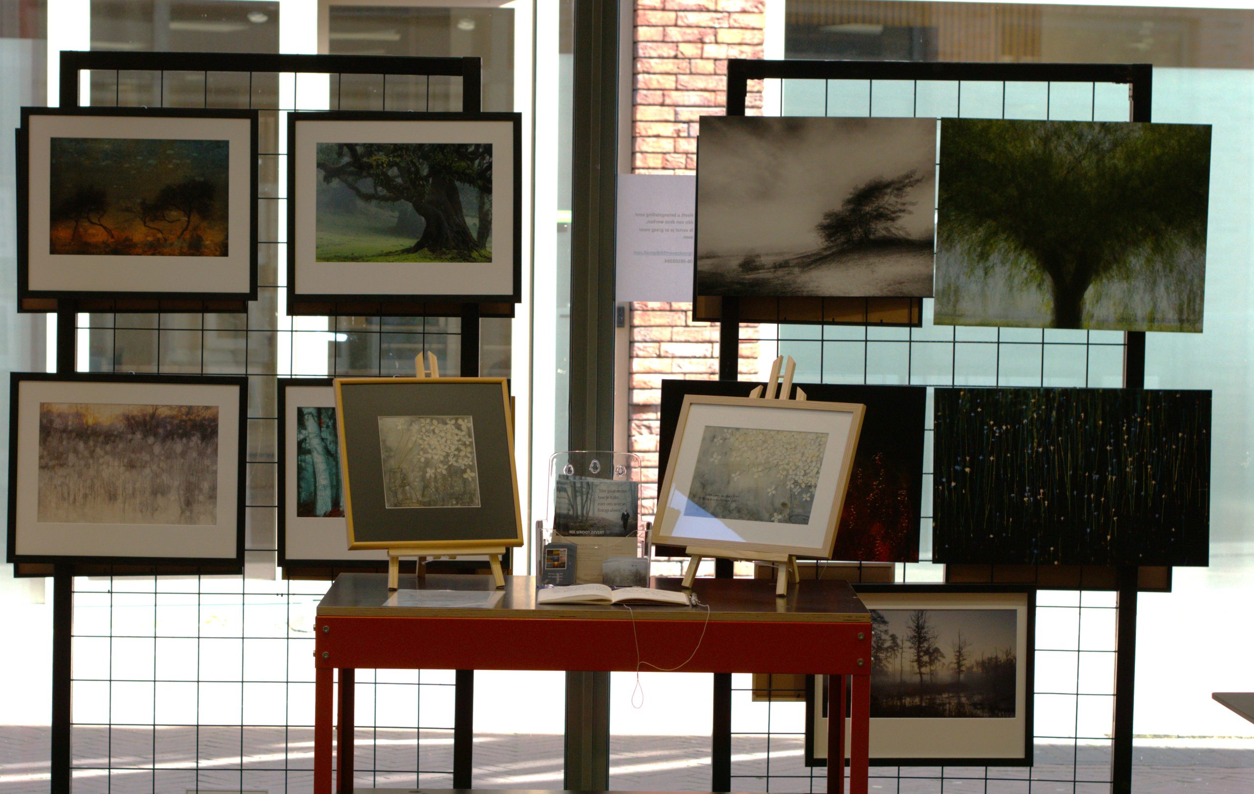 LICHTENVOORDE — Expositie ‘Anders kijken, meer zien’ te zien in bibliotheek