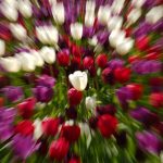 Afbeelding thema Lente, Frank Vinkenvleugel