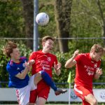 Grol 1 - OBW 1 2-3-6-1