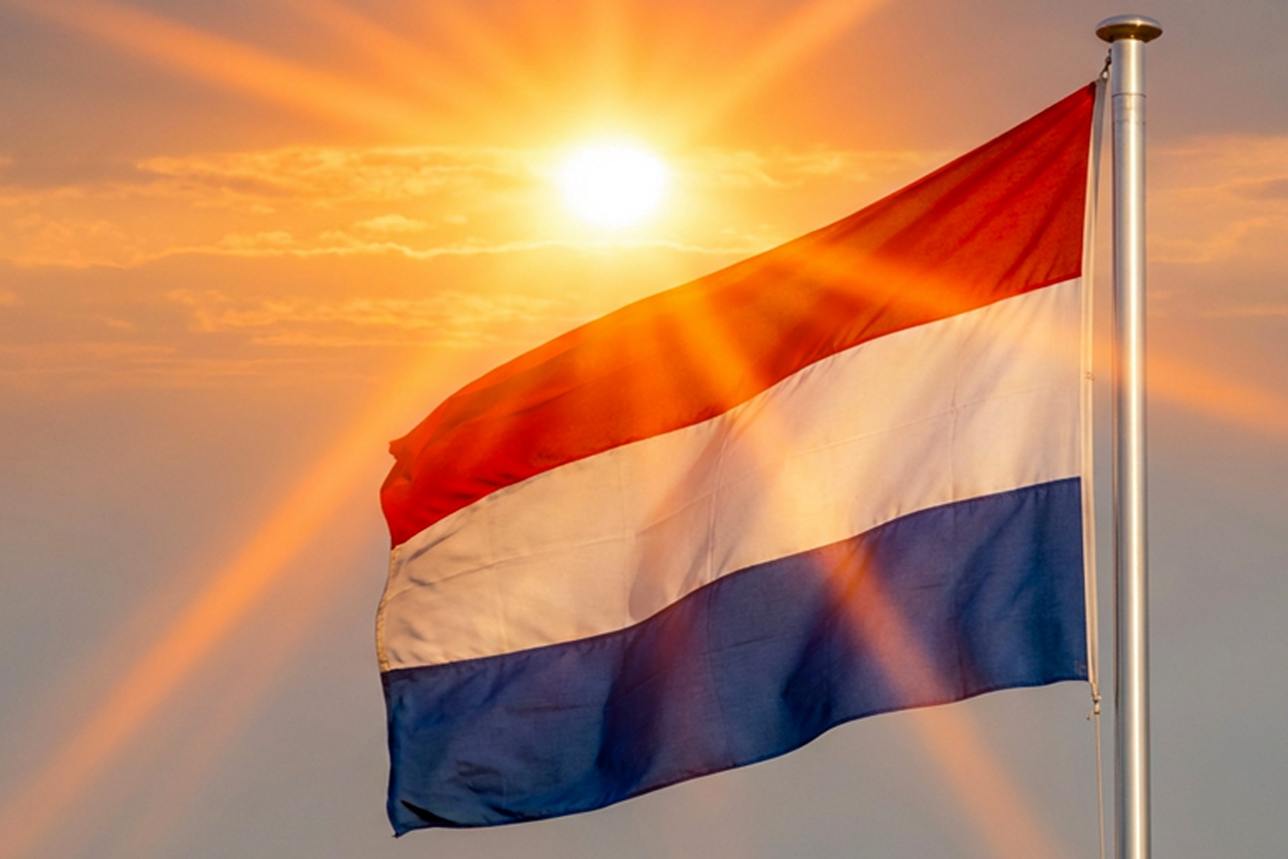 Nederlandse vlag