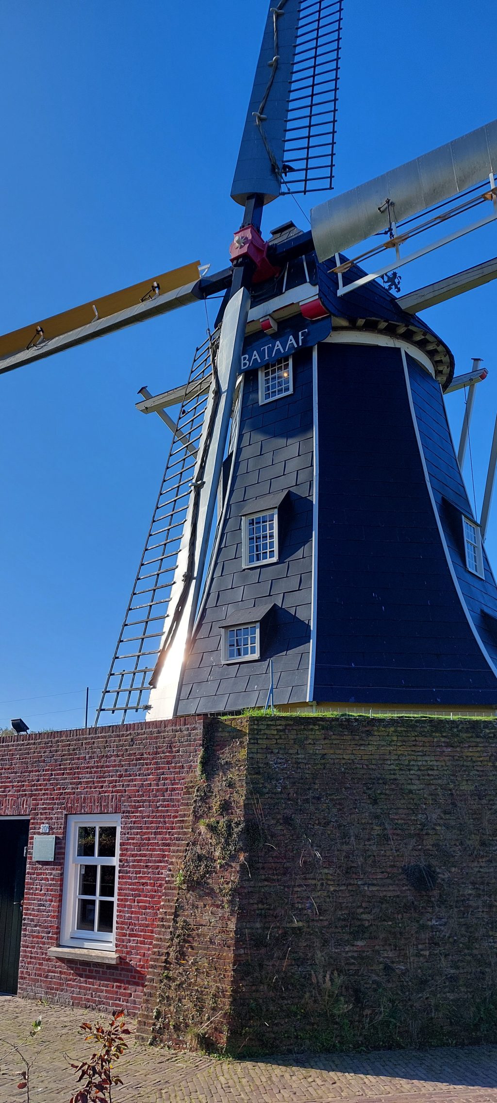 241105 molen 3