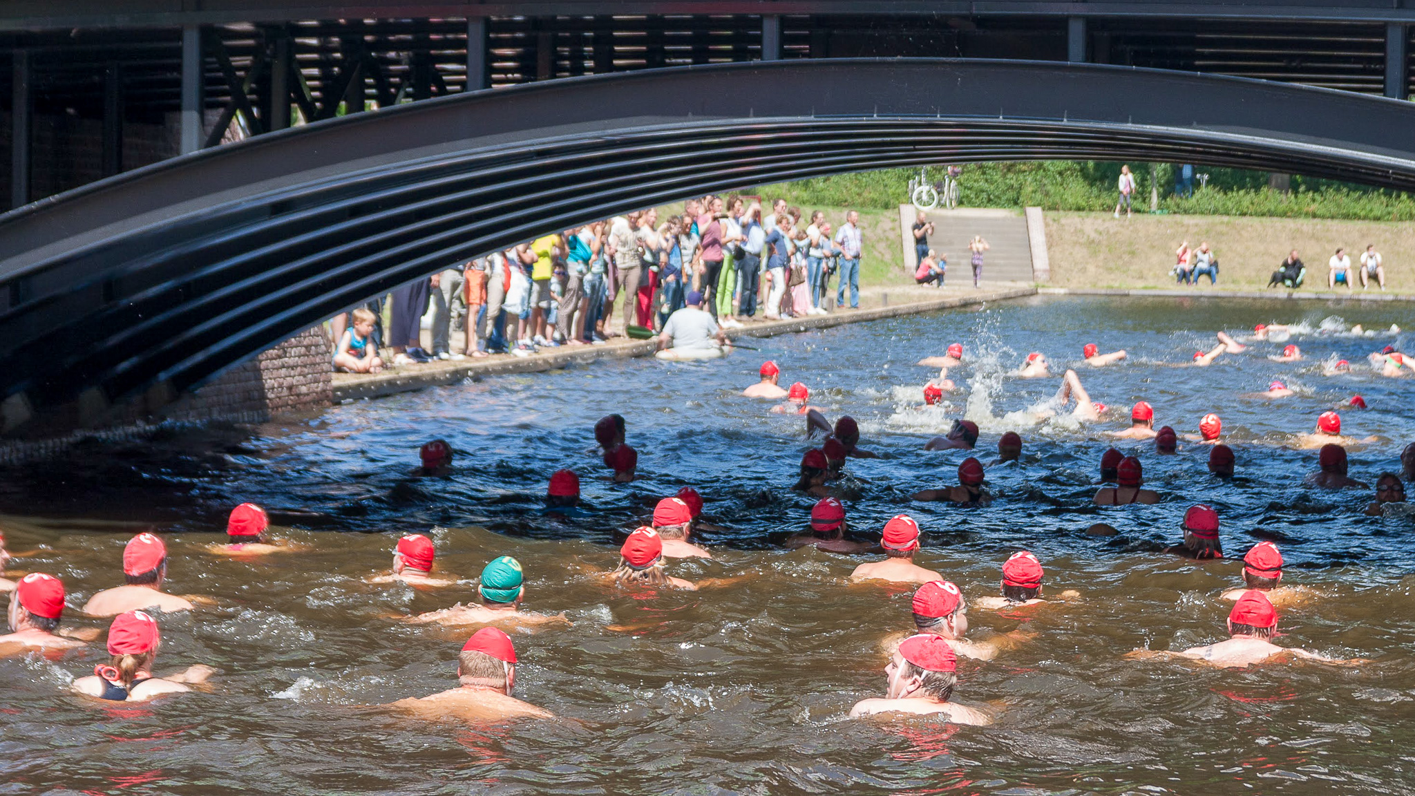 Zwemmen gracht