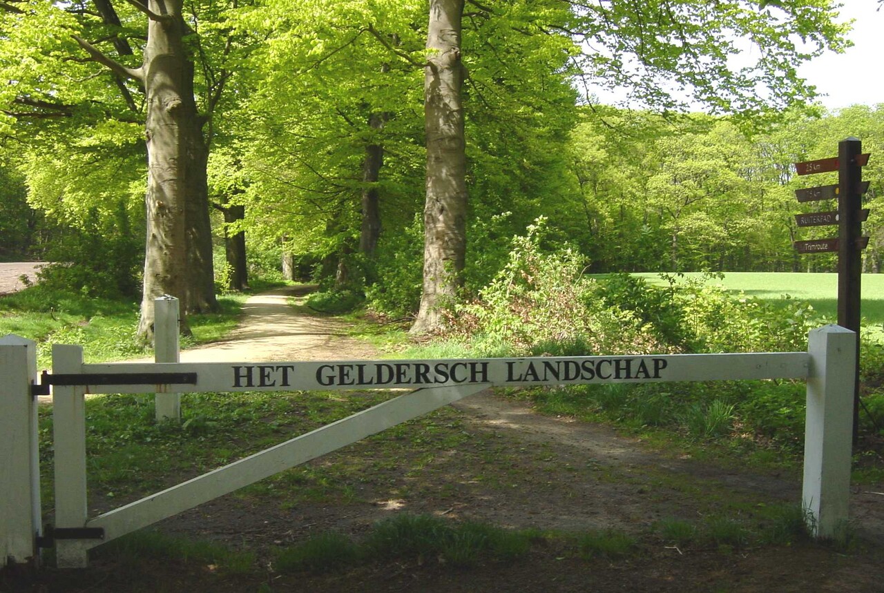 Boswachter neemt deelnemers mee op zomeravondwandeling in Hagen