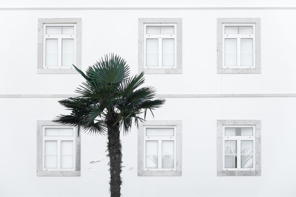 derks24-windows-2551954