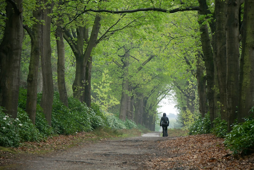Exclusief wonen in Overijssel: een van de mooiste provincies van Nederland